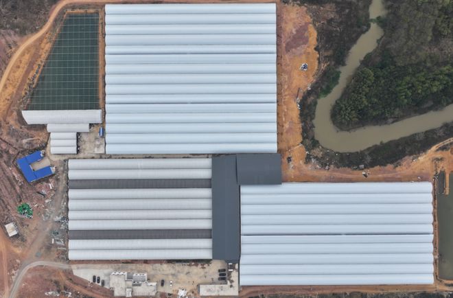 水产的价格也要被广西打下来了！总投资18亿元的鳗鱼基地在贵港落地(图3)