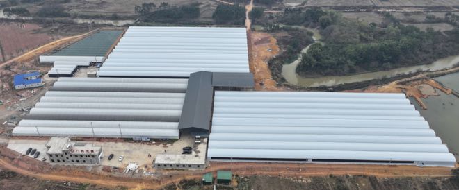 水产的价格也要被广西打下来了！总投资18亿元的鳗鱼基地在贵港落地(图4)