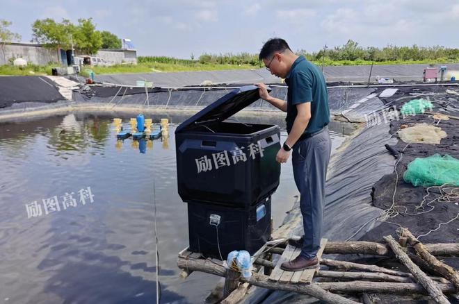 【励图高科】智慧渔业解决方案助力大水面生态渔业高质量发展！(图3)