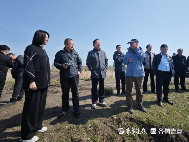 kaiyun入口：更多海鲜有望内陆养！黄海所带2万尾海鲈鱼探索内陆盐碱水域养殖(图3)