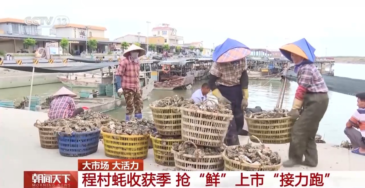 大市场大活力丨“五一”假日餐桌海鲜热度揭秘生蚝如何抢“鲜”出发？(图7)