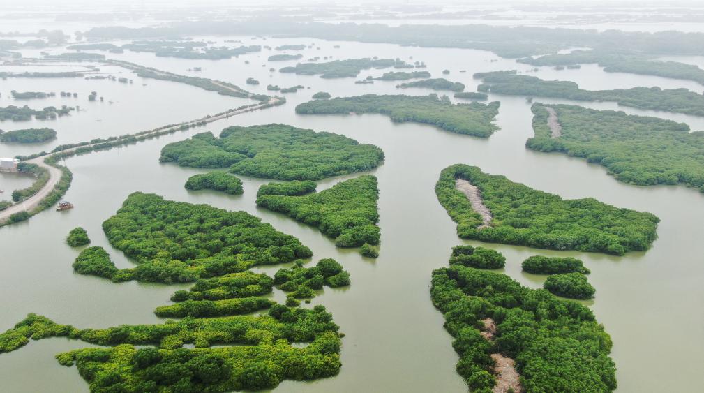 总书记对海洋强国建设的战略指引(图3)