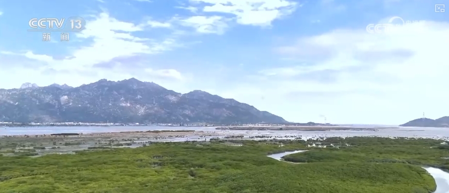 kaiyun：制度完善→设施升级→系统修复结硕果！多维度绘就海洋生态保护美丽画卷(图4)