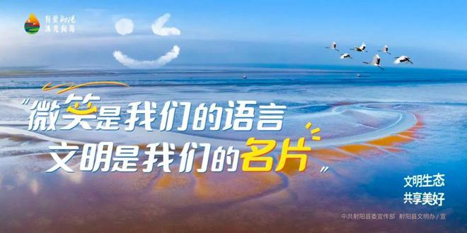 写好“海”的文章射阳这样干！(图10)