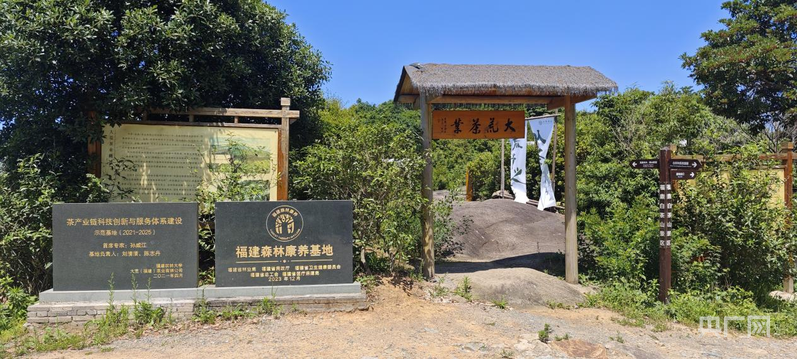 经济大省挑大梁·行进福建｜金色、蓝色、绿色 探访宁德产业“扶摇高飞”三重奏(图7)