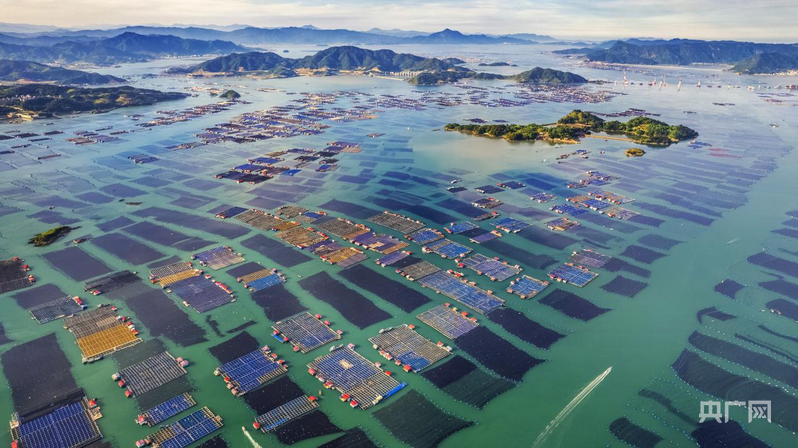 经济大省挑大梁·行进福建｜金色、蓝色、绿色 探访宁德产业“扶摇高飞”三重奏(图4)