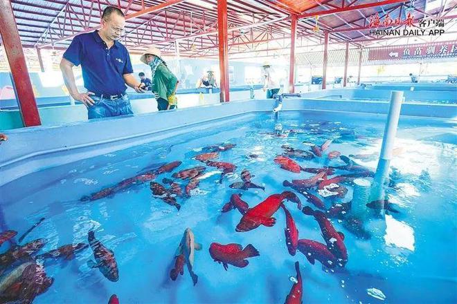 水产养殖“新王”崛起：品种、模式与供应链的革新力量(图2)