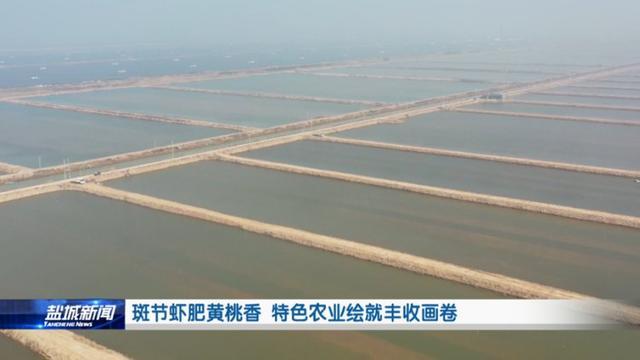 盐城响水县：斑节虾跳向大江南北(图2)