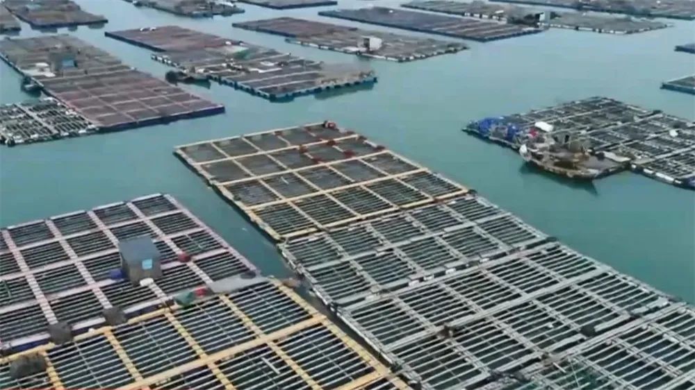 经略“蓝海”：10万亿背后大有看点(图7)