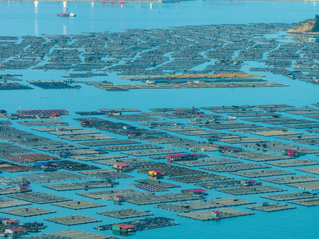 经略“蓝海”：10万亿背后大有看点(图9)