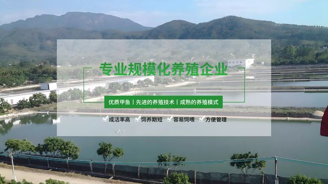 kaiyun网站：生态甲鱼养殖破局行业痛点湖北依琪农研以技术赋能产业升级(图3)
