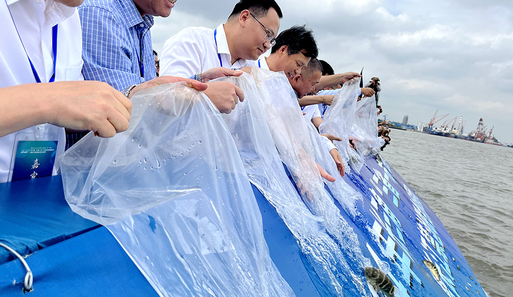 徐生副主任参加2024年长三角“三省一市”水生生物增殖放流暨长江禁渔联合执法活动(图2)