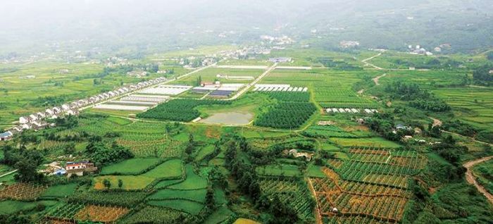 kaiyun网站：绵竹：数字田畴织就锦绣生态沃野绘就新篇(图6)