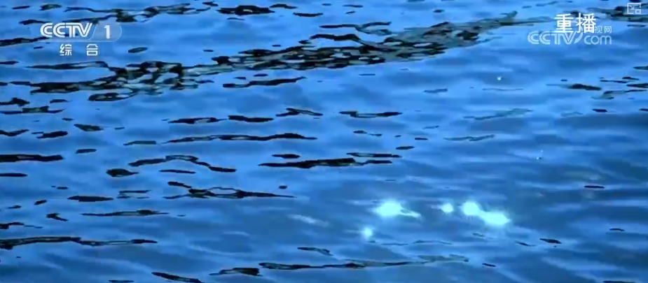 水上、水下、天空、岸上……多视角解锁“华北之肾”生态蝶变看见美丽中国(图3)