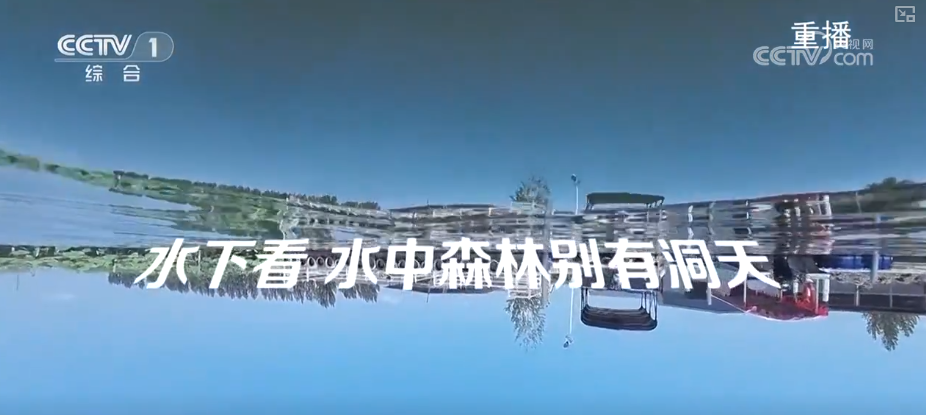 水上、水下、天空、岸上……多视角解锁“华北之肾”生态蝶变看见美丽中国(图8)