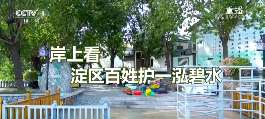 水上、水下、天空、岸上……多视角解锁“华北之肾”生态蝶变看见美丽中国(图13)