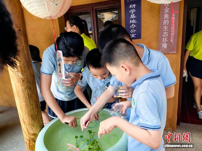 kaiyun入口：活力中国调研行）“金鱼之乡”闽侯“游”出产业生态链(图3)