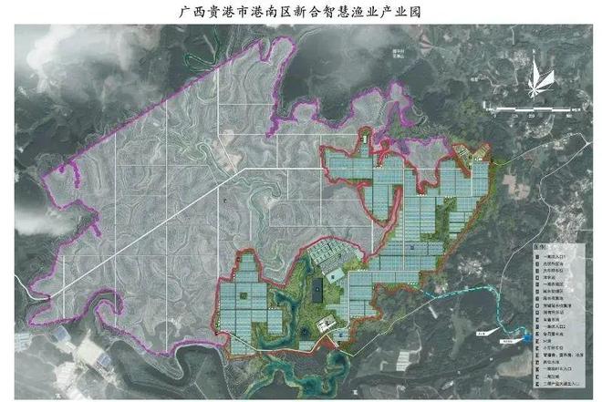 站台、大资本入局上亿投资押注这一品种！是机遇还是洗牌？(图3)