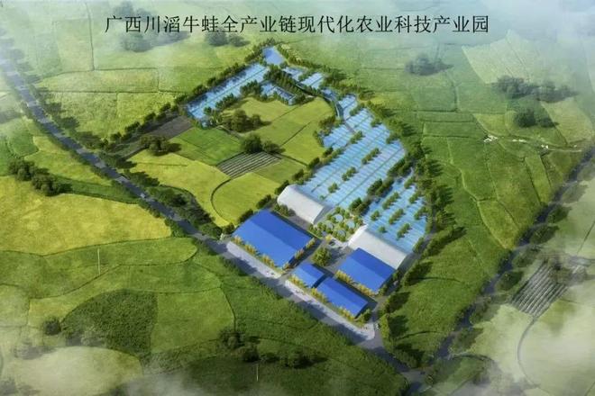 站台、大资本入局上亿投资押注这一品种！是机遇还是洗牌？(图2)