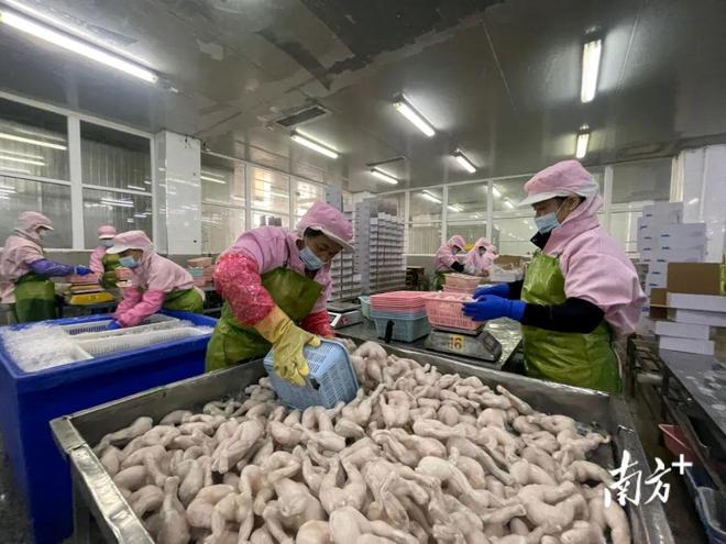 站台、大资本入局上亿投资押注这一品种！是机遇还是洗牌？(图4)
