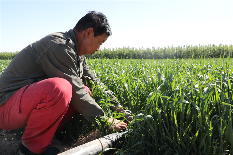 kaiyun网站：活水润疆(图3)