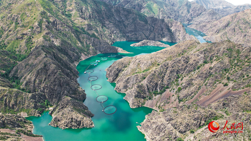 kaiyun网站：活水润疆(图4)