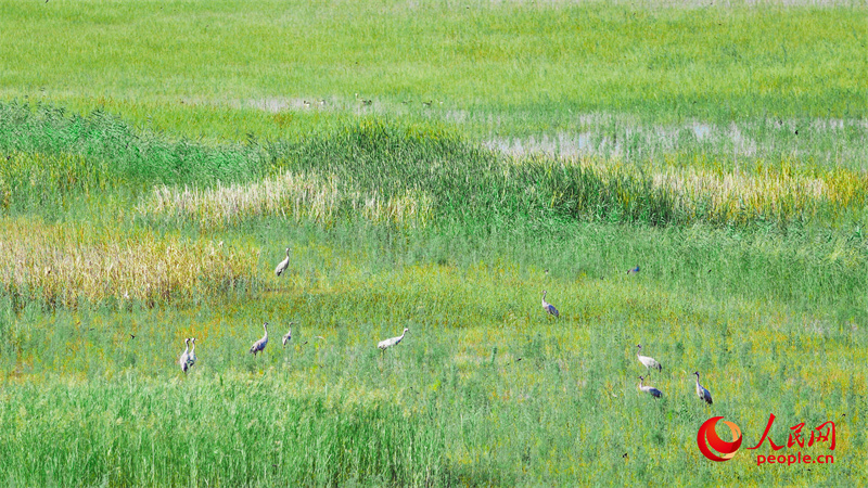 kaiyun网站：活水润疆(图6)