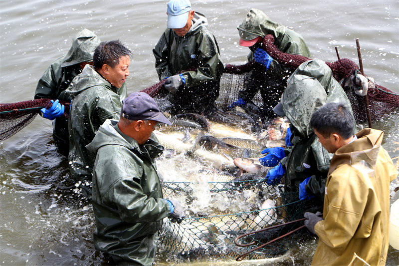 kaiyun网站：活水润疆(图5)