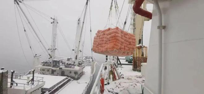 走企业看高质量发展：辽渔集团乘风破浪向海图强(图3)