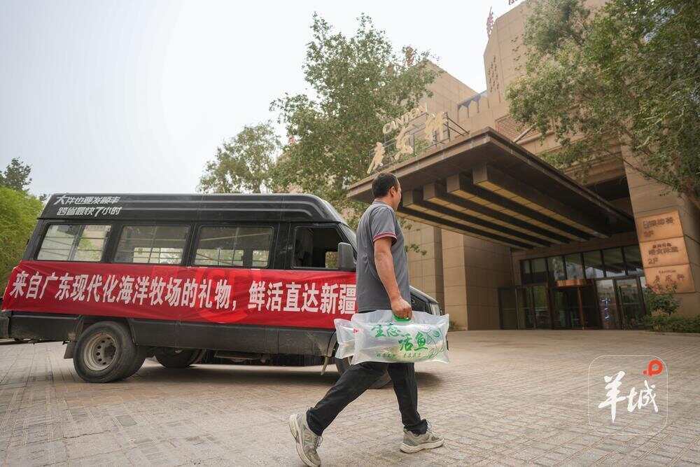 从“南海”到“南疆”广东海鲜“当日达”鲜活到新疆(图3)