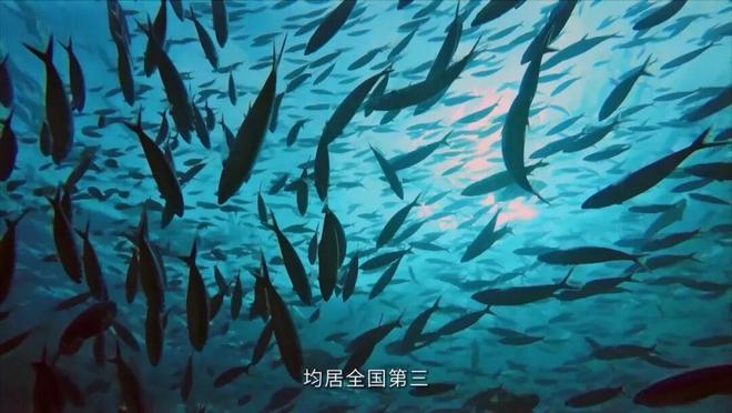 “芯”力量让福建海鲜不再“北漂”(图4)