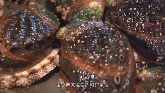 “芯”力量让福建海鲜不再“北漂”(图2)