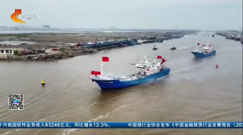 【经济新观察】河北：“耕海牧渔”筑牢“蓝色粮仓”(图2)