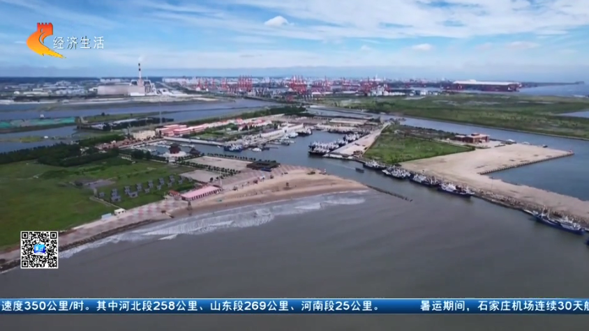 【经济新观察】河北：“耕海牧渔”筑牢“蓝色粮仓”(图5)