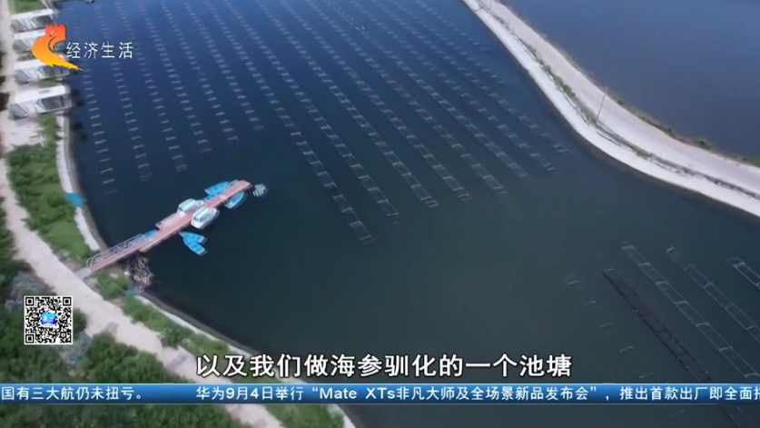 【经济新观察】河北：“耕海牧渔”筑牢“蓝色粮仓”(图6)