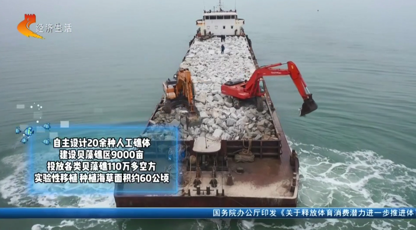 【经济新观察】河北：“耕海牧渔”筑牢“蓝色粮仓”(图8)