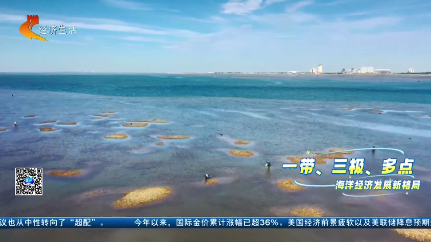 【经济新观察】河北：“耕海牧渔”筑牢“蓝色粮仓”(图10)