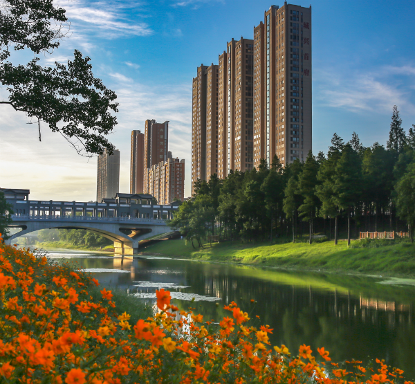 江苏句容：江河安澜水润容城30年治水绘就高质量发展生态底色(图4)