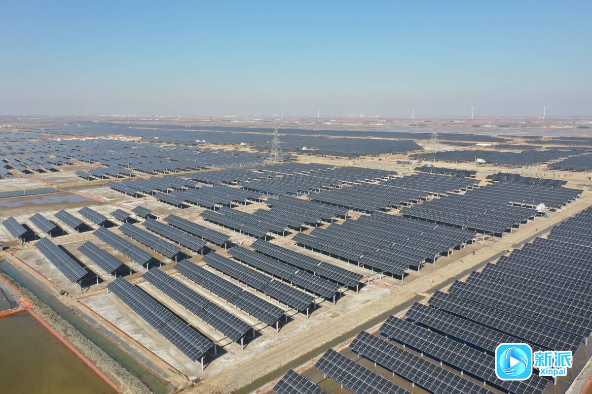 潍坊寿光：蓝海掘金动能澎湃海洋经济高质量发展势头强底气足(图2)