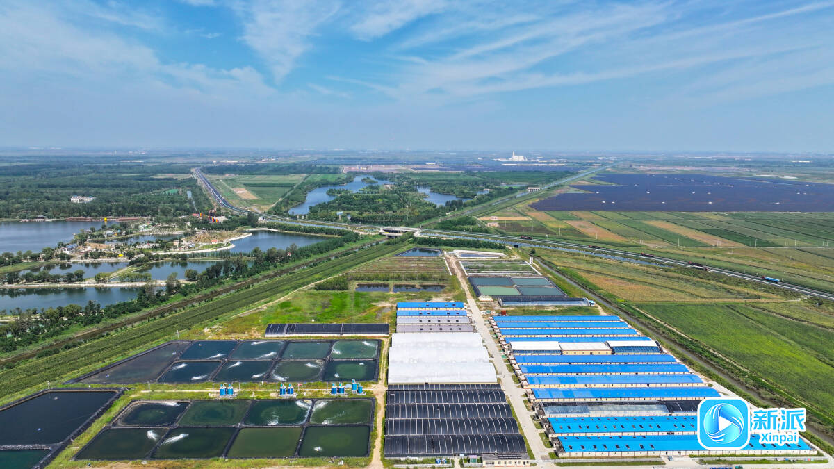 潍坊寿光：蓝海掘金动能澎湃海洋经济高质量发展势头强底气足(图3)