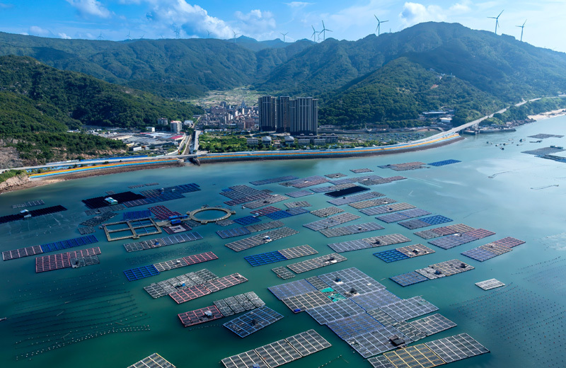 精耕深蓝加快建设海洋强国——“中国经济圆桌会”聚焦海洋经济高质量发展(图4)