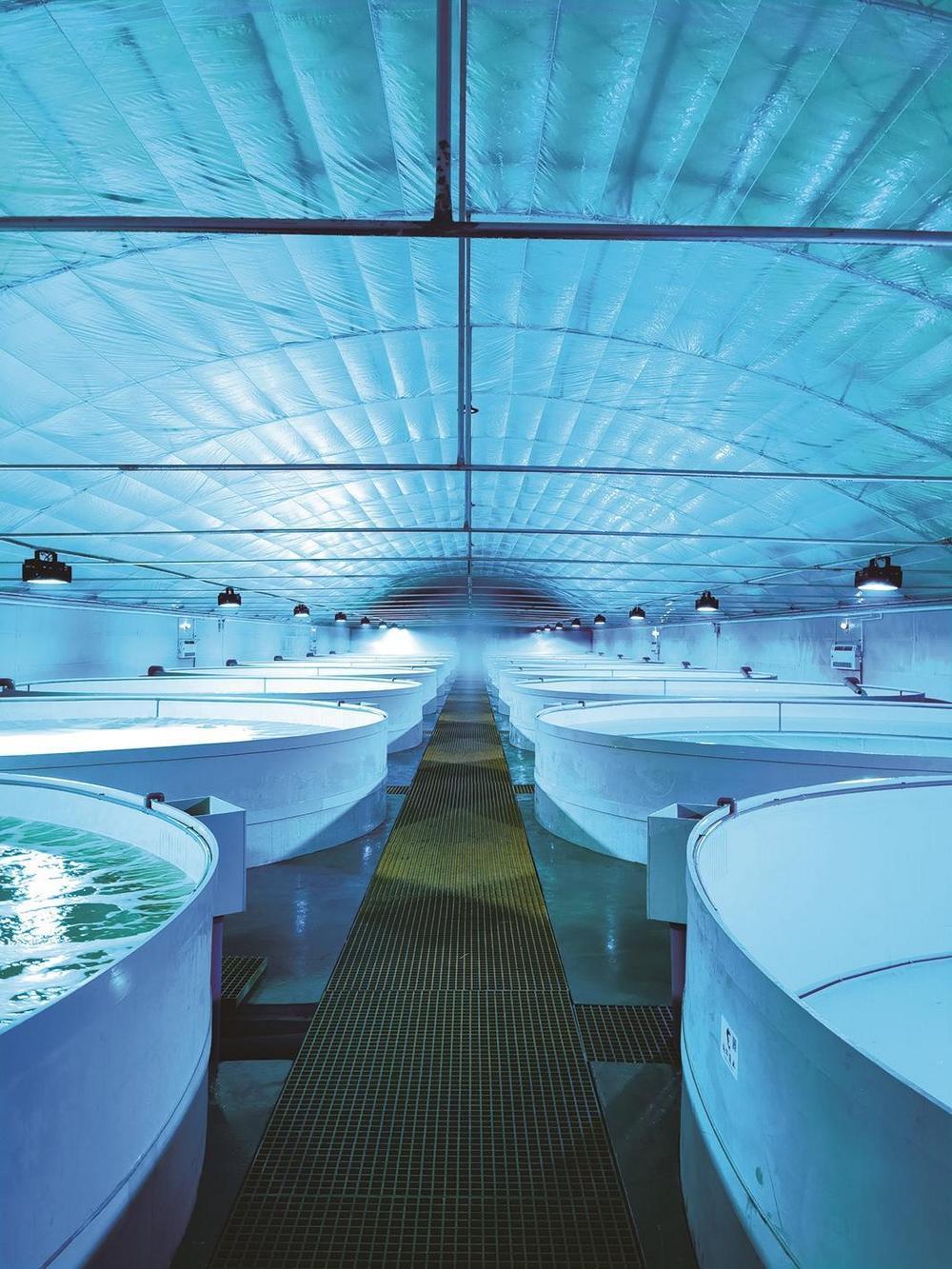 耕海牧鱼打造“蓝色粮仓”(图3)