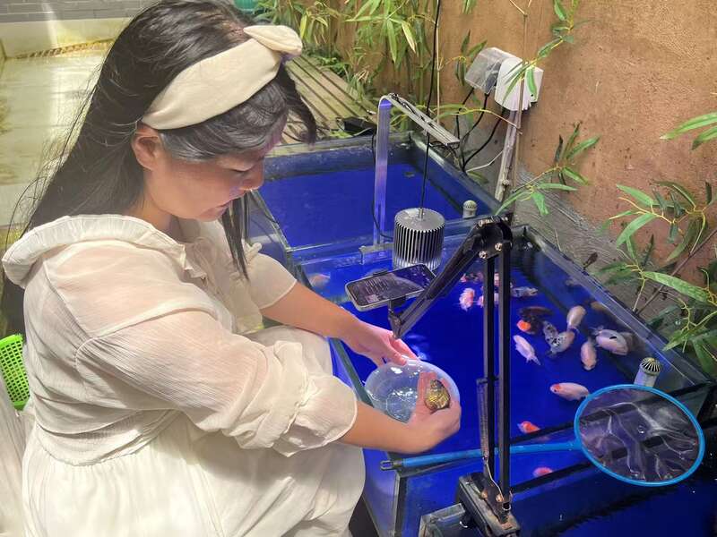 福州金鱼“游”向消费新需求计划打造百亿产业链(图2)