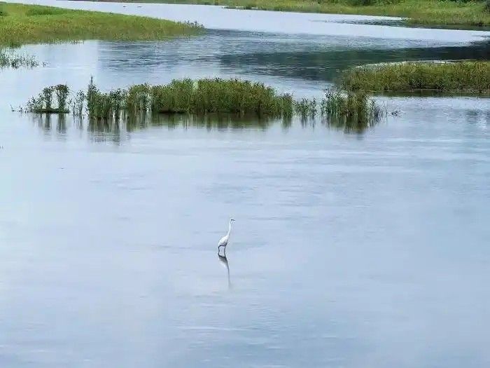 一河清水润齐鲁——山东系统治理推进美丽河湖建设观察(图2)