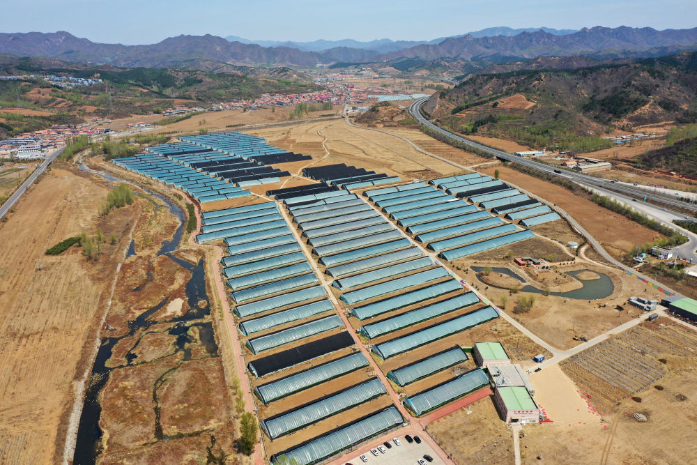 kaiyun：从太空看“十四五”｜乡村振兴万象新(图6)