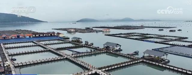 284亿元！“链”就美味24小时“鲜”达全国“数”说从海洋到餐桌全产业链(图7)