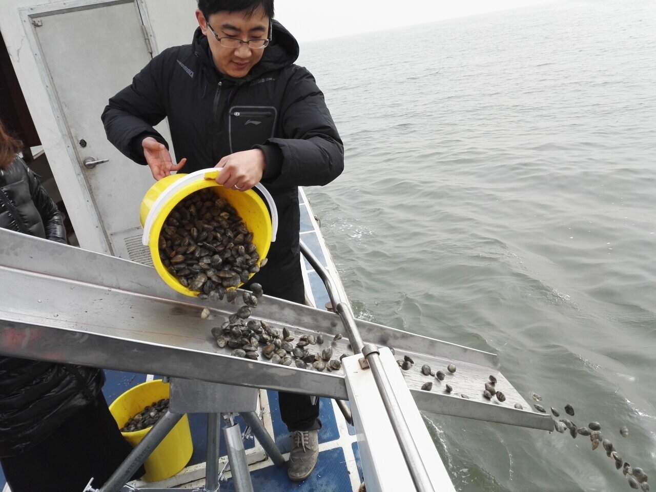 kaiyun入口：新闻纵深｜祥云湾嬗变：从“海底荒漠”到“水下森林”(图2)