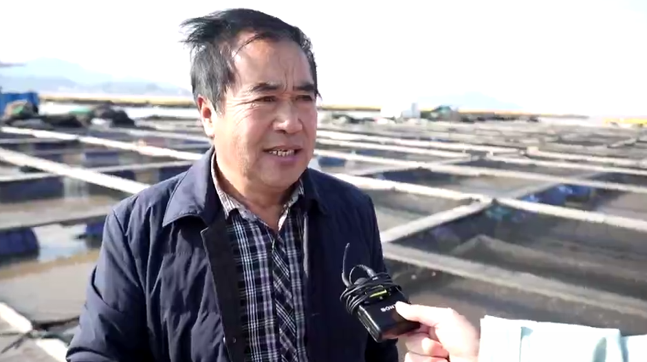 罪有“鱼”辜！高市早苗涉台狂言引众怒日本水产暂停进口国内水产接棒迎来市场新机遇(图3)