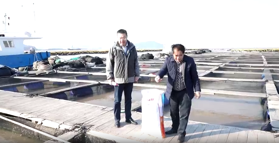 罪有“鱼”辜！高市早苗涉台狂言引众怒日本水产暂停进口国内水产接棒迎来市场新机遇(图2)