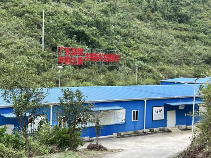 kaiyun：粤桂协作大唐赋能：大化瑶乡多元产业帮扶结硕果(图4)